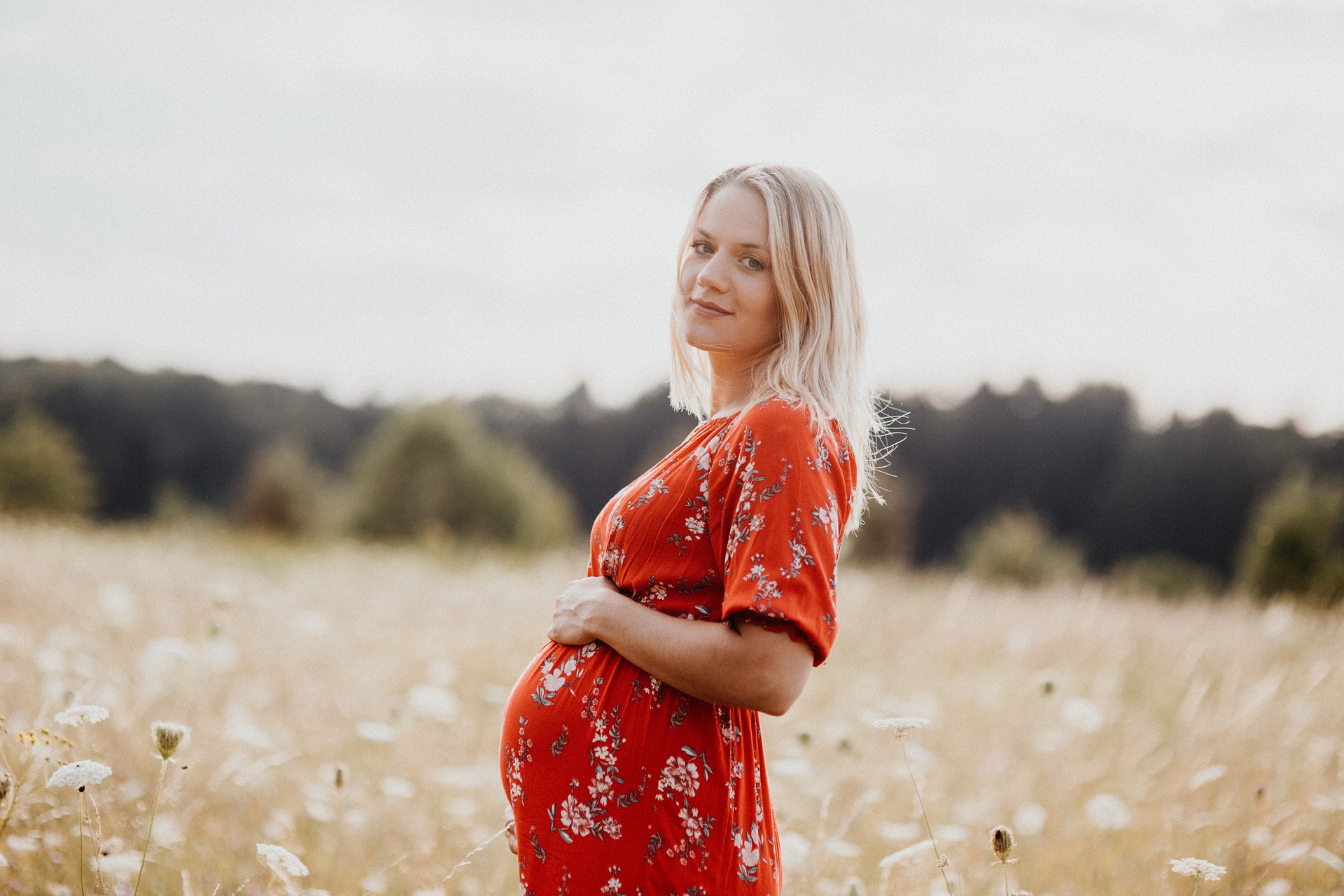 How do surrogate mothers become pregnant?